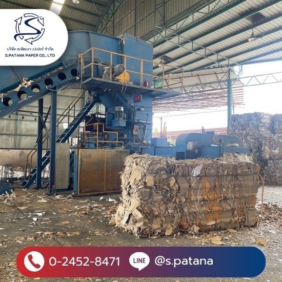 โรงงานรีไซเคิลกระดาษ - รับซื้อกระดาษรีไซเคิลทุกชนิด - ส.พัฒนาเปเปอร์ โรงงานรีไซเคิลกระดาษ - รับซื้อกระดาษรีไซเคิลทุกชนิด - ส.พัฒนาเปเปอร์